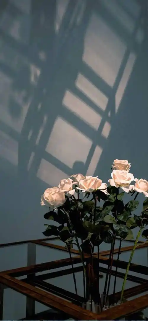 高清全面屏手机壁纸ins风手机全面屏锁屏