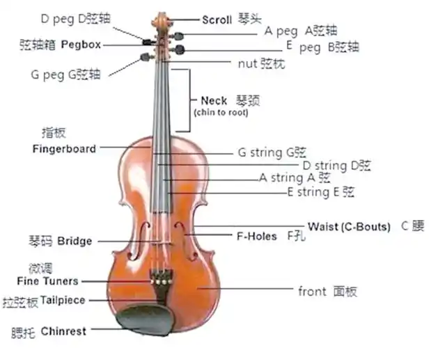 小提琴的结构与历史:揭秘这位音乐界的皇后