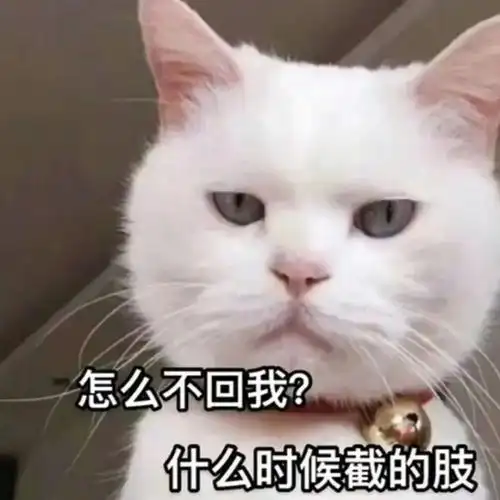 特级沙雕表情包大全