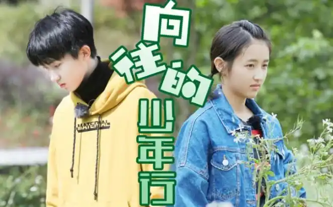 马嘉祺x张子枫伪向往的生活台风少年行综艺混剪