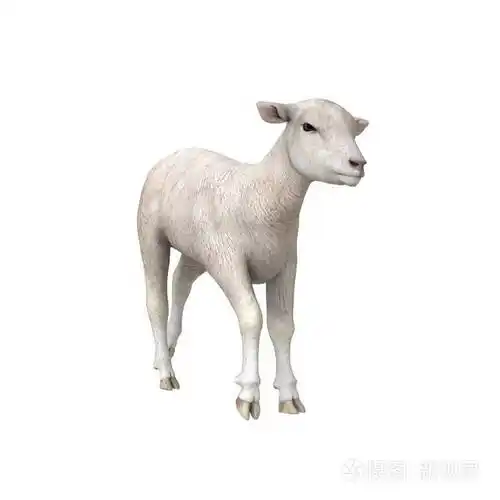 3dcg渲染的一只羊