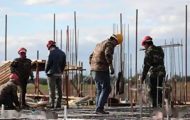 未来5到10年,农民如果不外出打工,回农村能干点啥?
