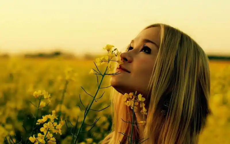 2020-09-08浏览:(182)标签:格式:jpg关注公众号:一抹绿叶热门壁纸标签