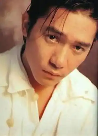 梁朝伟,巅峰期完爆一众男神,他的气质给他加了好多分,很潇洒.