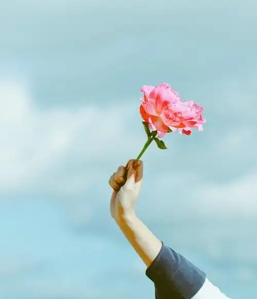 小清新森系植物伤感绿色意境图片 -意境图片-唯美图片大全