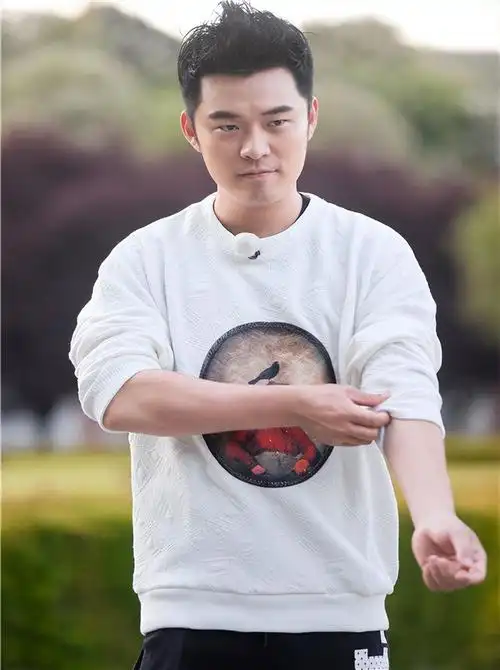 陈赫个人资料:终究为自己的"贪得无厌"付出了代价