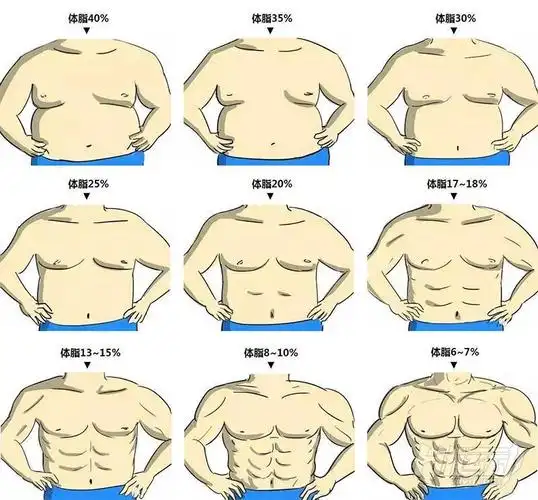 原来减肥最大的误区在这里?体脂率降下来才是关健