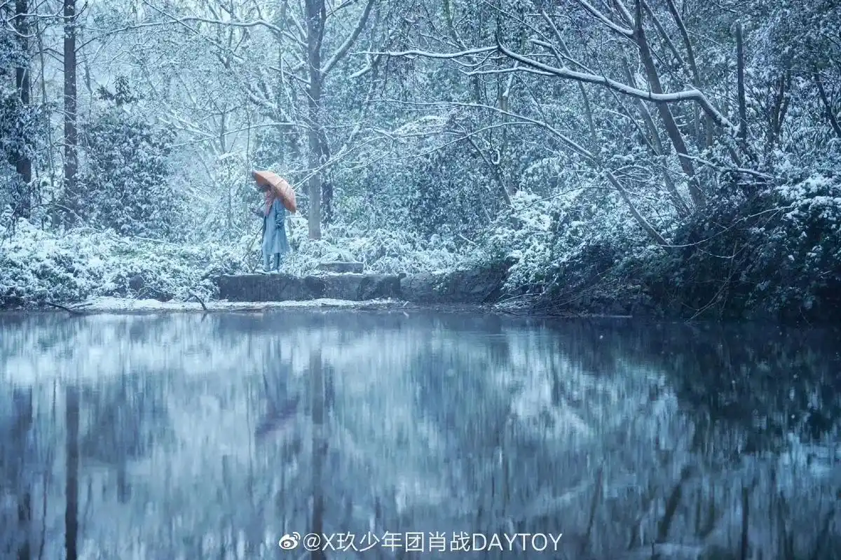 肖战冬至竹林大片