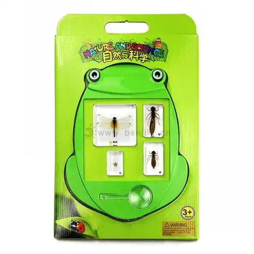 本吉 厂家直供幼教益智玩具 蜻蜓成长记套装包埋标本