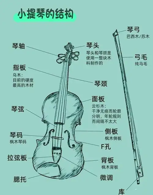 学小提琴的坑,交的学费