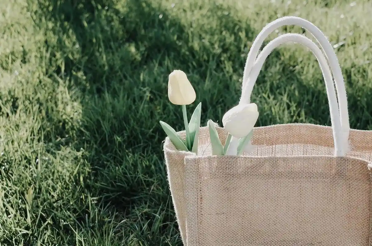 记得把普通的日子过得浪漫一点.#摄影 #静物摄影 #治愈系风 - 抖音