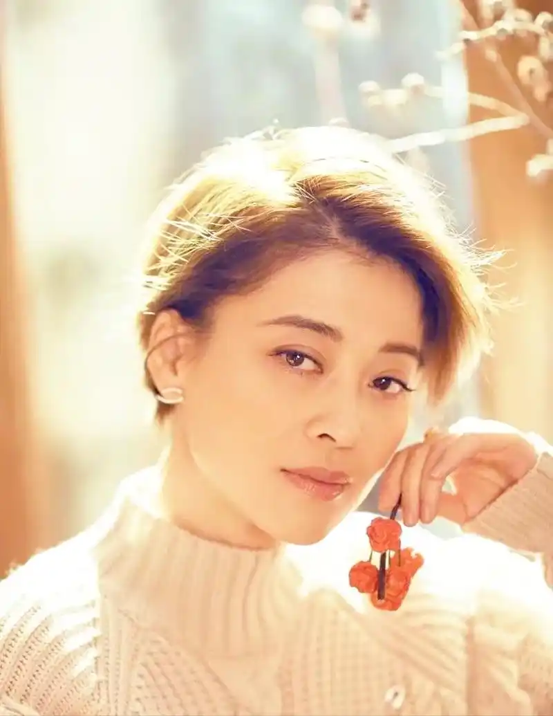 梅婷个人资料简介(揭秘梅婷人生经历沉浮史)