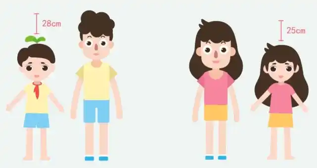 天使讲堂:你知道孩子是怎样一点点长高的吗?