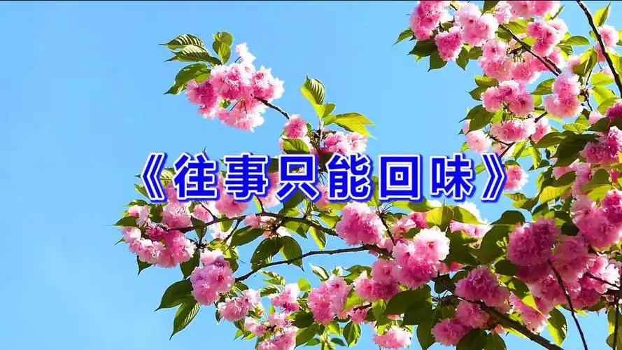 一首往事只能回味好听极了旋律婉转伤感歌老心不老