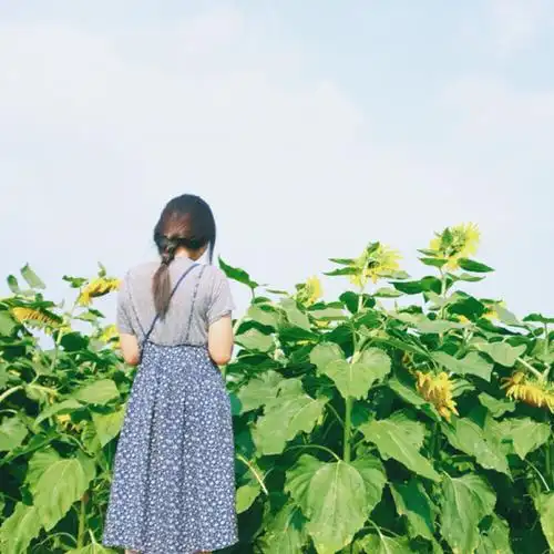 女生头像 文艺小清新 日系 唯美 微博月半木登子