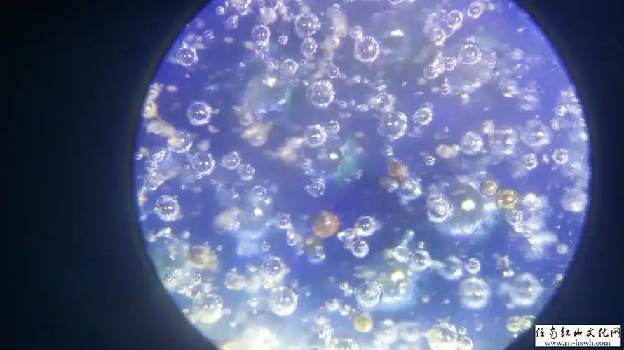 绝杀赝品——瓷器死亡气泡鉴定方法