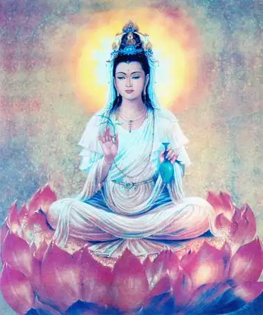 与罗汉松是"亲兄弟"的多肉植物,礼佛之人首选,花期持续一年