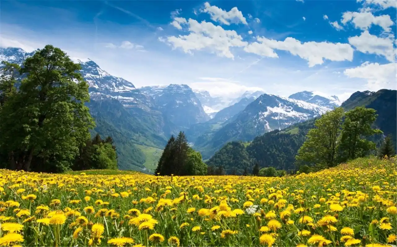 首页 桌面壁纸 精美自然风景高清桌面壁纸上一张下一张查看原图