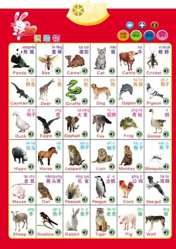 儿童早教挂图有声幼儿宝宝启蒙学习发声认识动物益智玩具数学拼音
