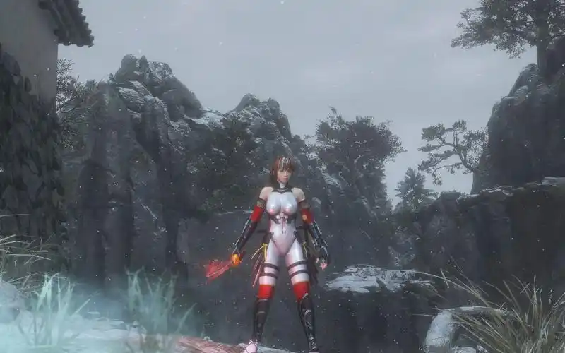 只狼影逝二度死或生5最后一战女忍霞mod