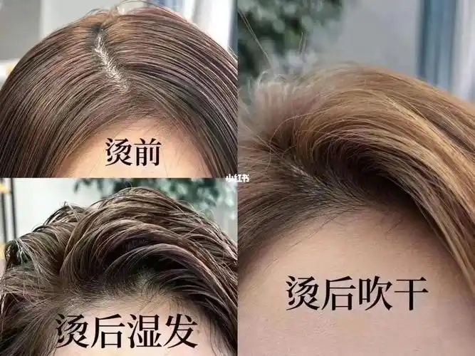 头发服帖的克星#发根蓬松  #发根蓬松烫