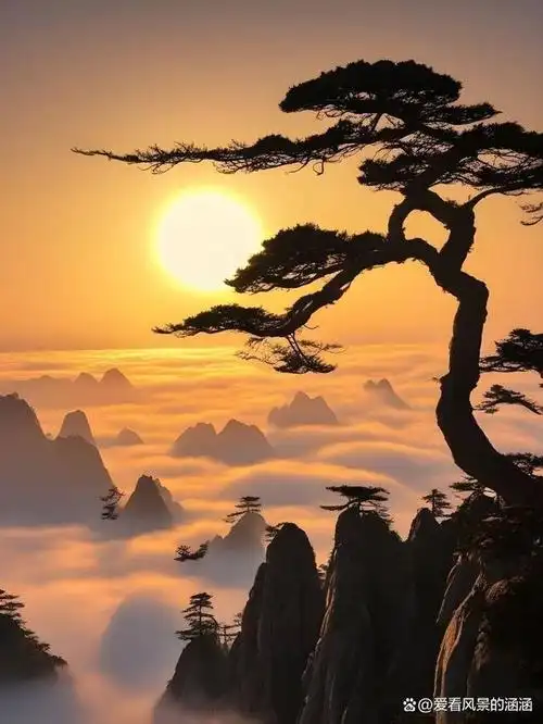 黄山,位于中国安徽省,是一座以其壮丽的山峦和独特的景观而闻名于世的