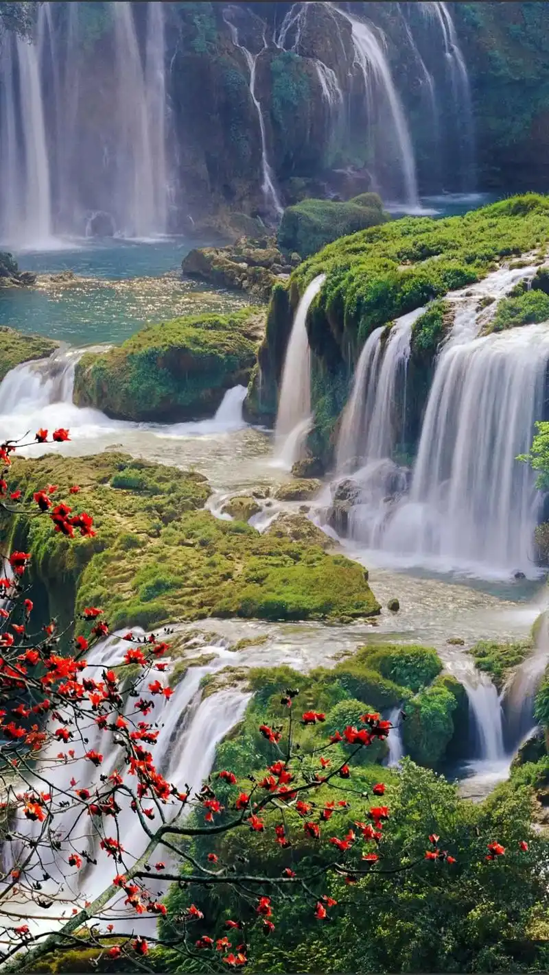 山水风景 #摄影 #最美大自然 温柔和煦的晚风,娇艳似火的 - 抖音