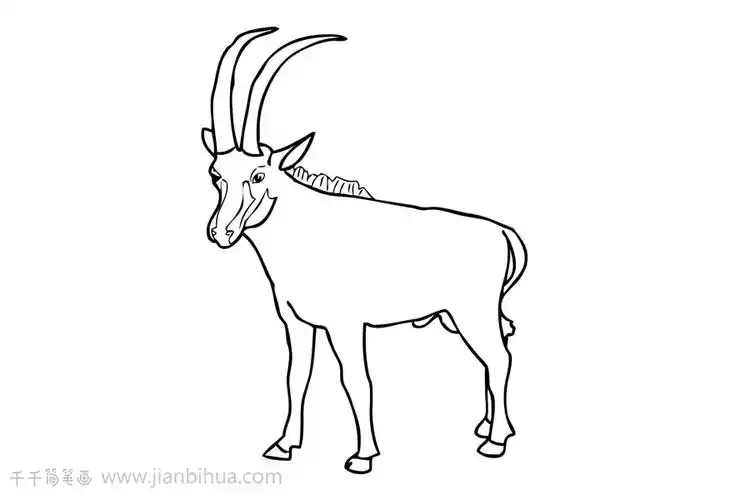 羚羊简笔画简单好画
