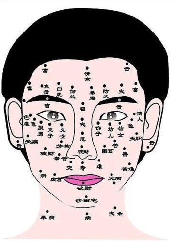 男女眉毛长痣面相图解