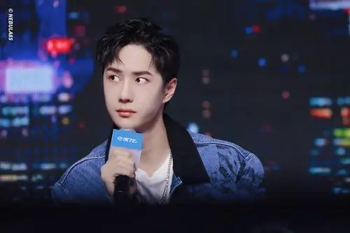 日久生情王一博7815 『禁二改&商用&抹logo&… - 堆糖,美图壁纸