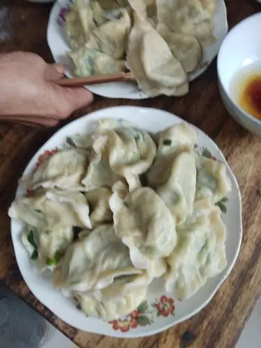 一家人在一起吃饺子真开心.