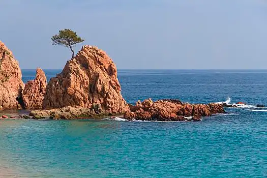 西班牙,胜地,特色,加泰罗尼亚,哥斯达黎加