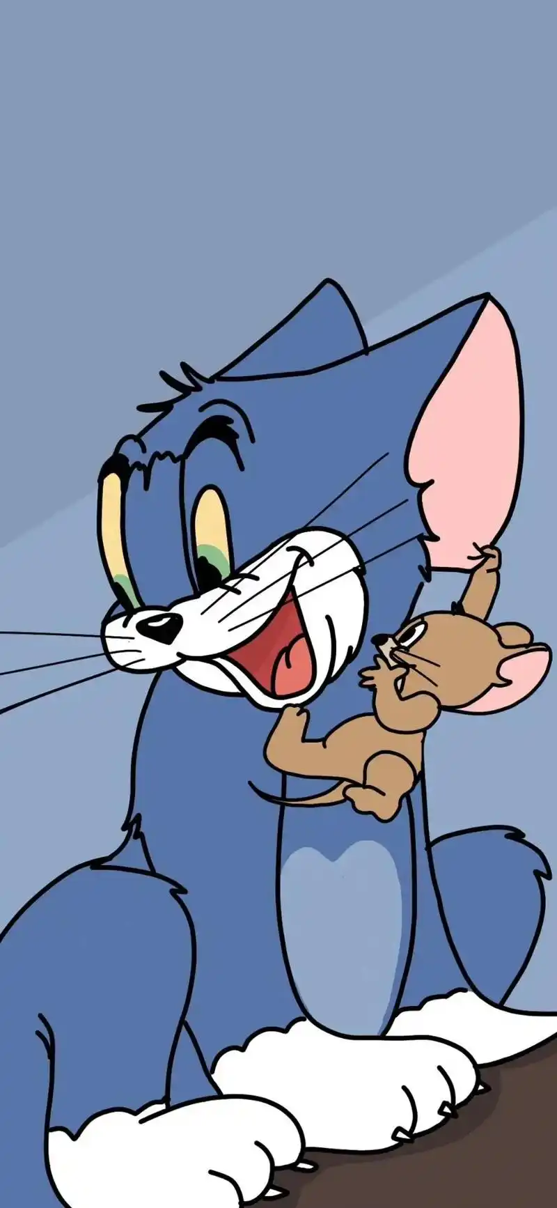 壁纸 #猫和老鼠 你是什么时候认识汤姆猫的呢 - 抖音