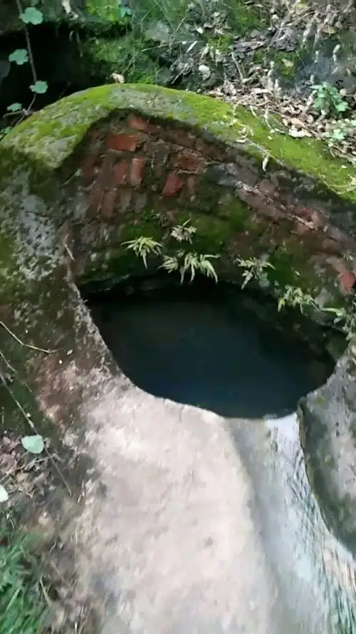 村里的泉眼,不知道哪朝哪代开始 .