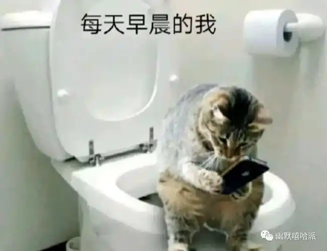 你有哪些让人一看就笑死的图片44