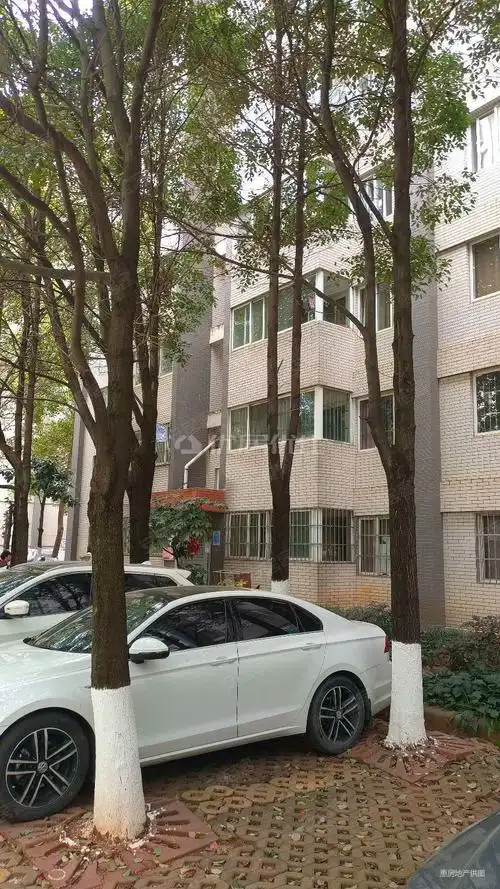 怡芳苑小区南北通透80平3室电梯房看房方便有钥匙