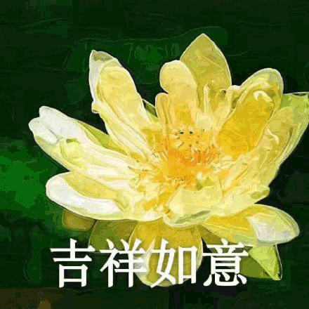 莲花gif沙雕莲花gif吉祥如意gif