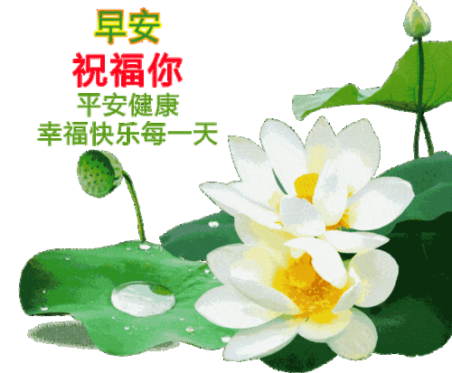 最美早晨好漂亮的问候表情包大全2021新版群发早上好动态图片