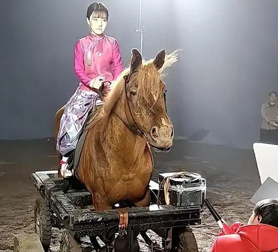 古装剧中,骑马英姿飒爽的镜头总能让观众热血澎湃.