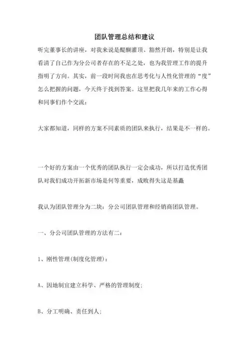 团队管理总结和建议