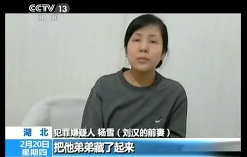 图说企业家:"涉黑者"刘汉