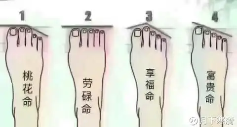 月下寒漪:你属于什么命