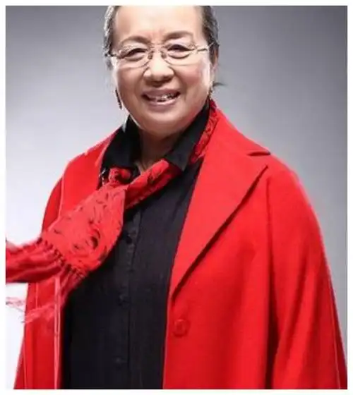 而容嬷嬷的扮演者,李明启也因此受人关注,她将容嬷嬷这个角色塑造成了