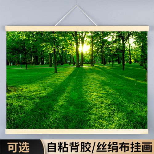 树林风景装饰挂画大自然仙境植物壁纸绿树木森林墙贴纸绿色护眼图