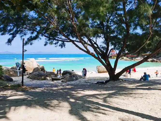 蜈支洲岛景色宜人23-11-27 - 抖音