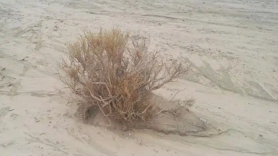 大西北之行(四)——青海雅丹 阳关