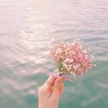 给女人带来好运的头像2021