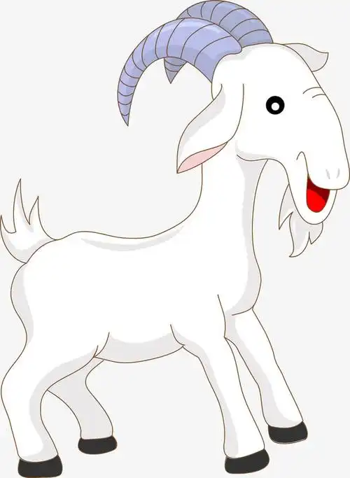 白色山羊矢量素材图