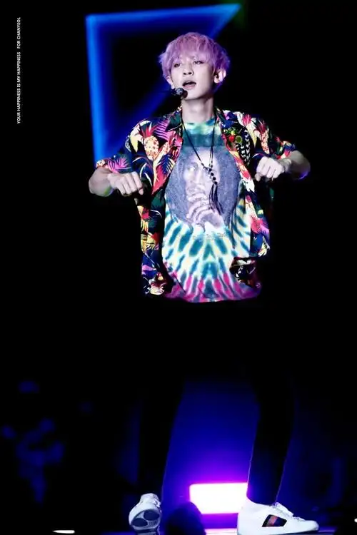 exo舞台朴灿烈chanyeol