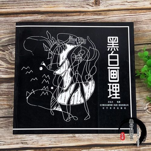 正版黑白画理 艺术绘画理论基础 王弘力 辽宁美术